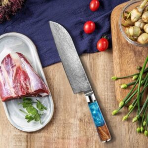 VG10 blue resin handle 7 inch Damascus santoku knife