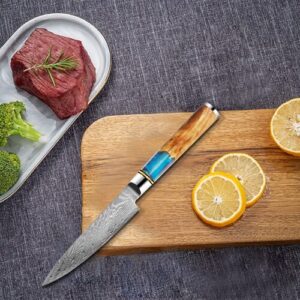 VG10 blue resin damascus steel 5 inch utility knife