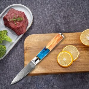 blue resin handle VG10 Damascus steel 3.5 inch paring knife