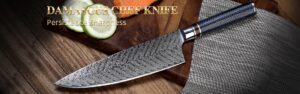 Damascus-knife-category-banner