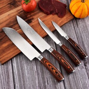 pakka-wood-handle-damascus-steel-knife-main-image
