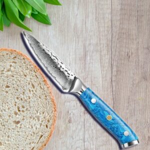 Turquoise Handle