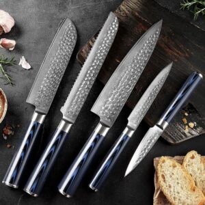 5 PCS Blue G10 Handle Damascus steel Knife set