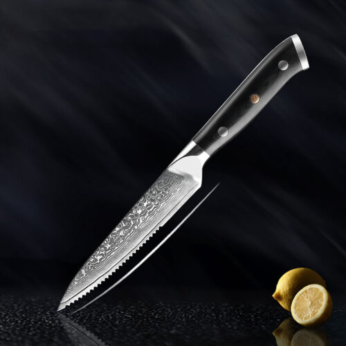 5 inch Damascus steak knife with G10 Handle