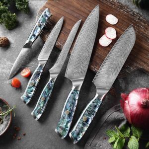 damascus kitchen knife set with abalone shell handle