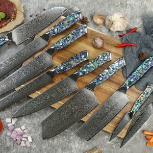 10 pcs damascus kitchen knife set with abalone shell handle