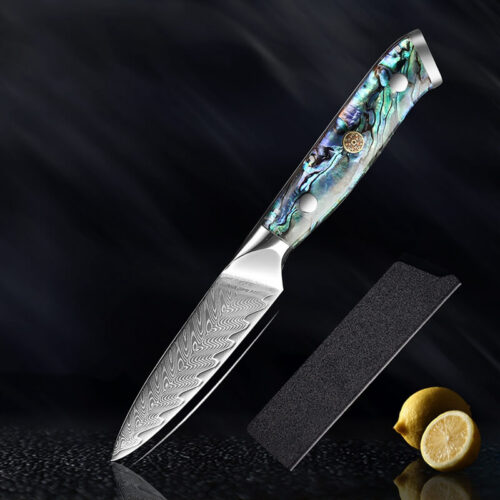 Damascus paring knife with abalone shell handle