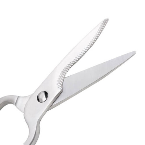Stainless Steel Kitchen Scissor Wholesale